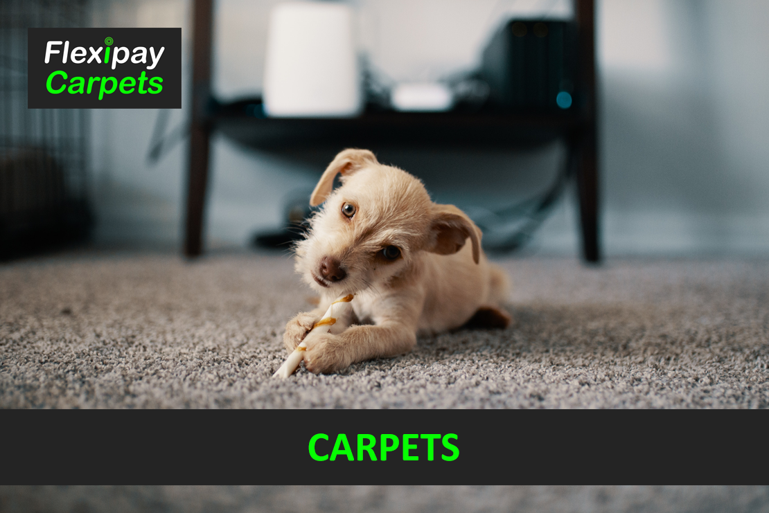 Carpets